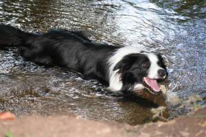 23-08- 2007 115 (117).jpg